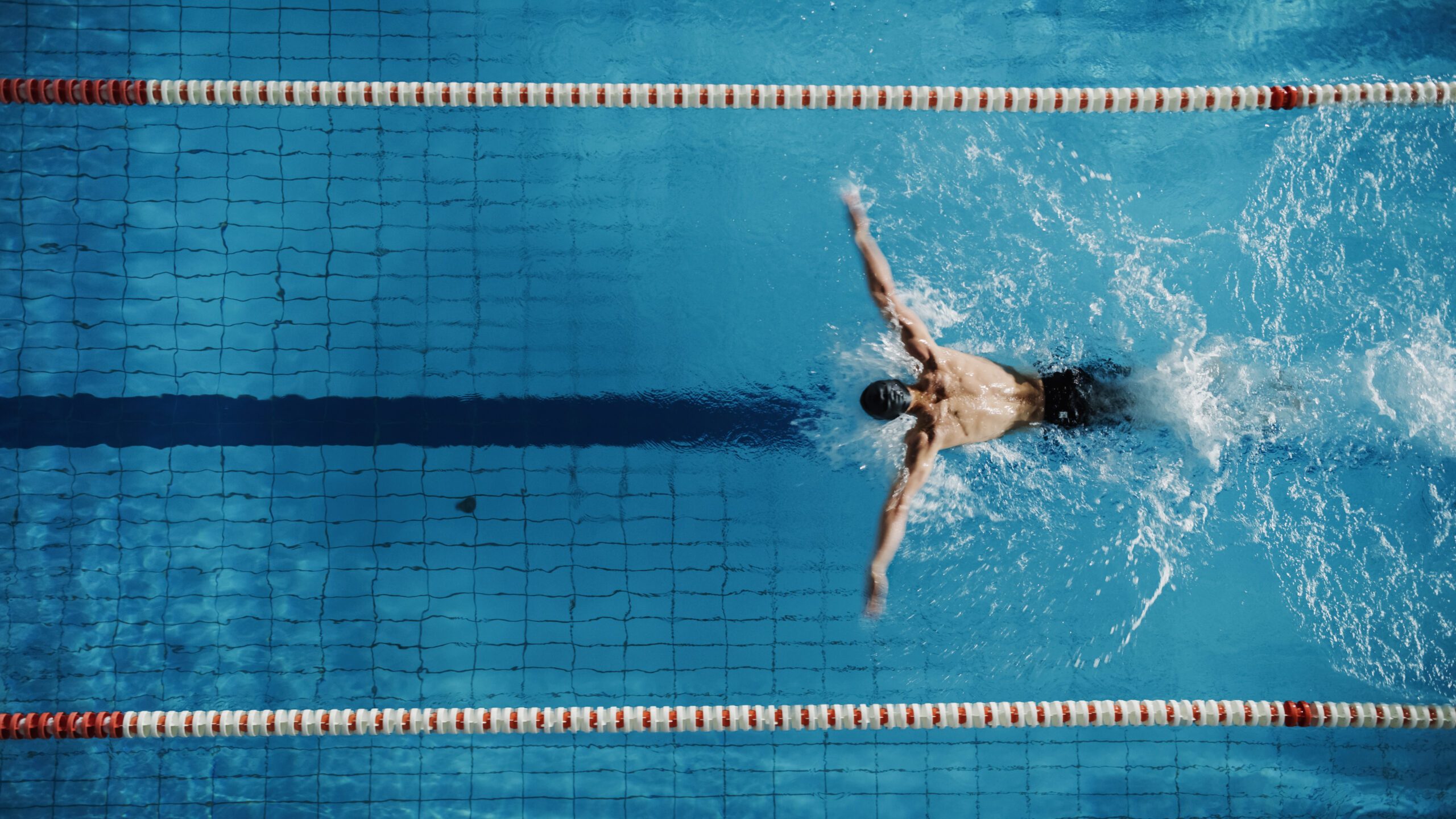 Aerial Top View Male Swimmer Swimming in Swimming Pool. Professional Determined Athlete Training for the Championship, using Butterfly Technique. Top View Shot